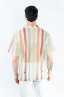 Polo rainbow