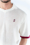 Polo sport